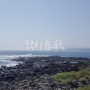 강정동-18 이미지