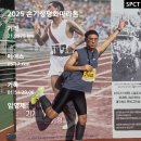 평화교통(주) | 2025 손기정 평화마라톤 대회 하프 완주 후기