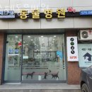 레스펫동물병원 이미지
