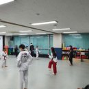 홀리드림태권도 이미지