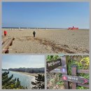 덕봉산 해양생태 탐방로 - 강원삼척 이미지