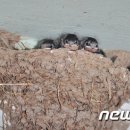 금지농약사 이미지