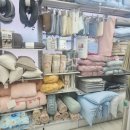 삼성웰스토리(주)티씨케이 | 3월 i 100%의 e 체험기