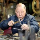 도화갈매기 이미지