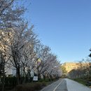 고운동 복합커뮤니티센터 | 길 스팟 만개 두루중 두루초 가락뜰근린공원 고운동복합커뮤니티센터 가락마을17단지 - 가락마을 18단지...