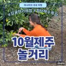 씨유제주함덕서우봉점 | [제주] 10월 제주도 놀거리 | 서우봉, 보메와산감귤체험, 함덕 맛집 모드, 초원