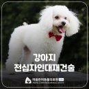 지리산동물병원 네이버블로그