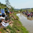 빗돌배기마을 이미지