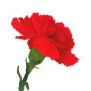 광양초등학교 병설유치원 이미지