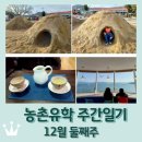 정남진도서관 | 보성 농촌유학 주간일기 12월 둘째주 / 흙산 두꺼비집 굴 파기 / 해남, 장흥, 보성