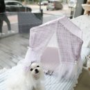 곰실화장실 이미지