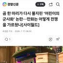 곰 한 마리가 다시 불지핀 ‘어린이의 군사화’ 논란···만화는 어떻게 전쟁을 가르쳤나[사이월드] 이미지