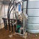 대식농장 이미지