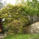 대산농장 이미지