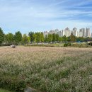 암사역사공원 이미지