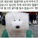 이마트안경전문점 이미지
