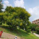 해피십자수 이미지