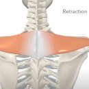 시민생활체육관 이미지