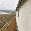 제주도치상회 이미지