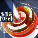 (주)신성홀딩스