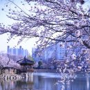 운천저수지 이미지