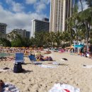 와이키키 이미지