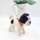 귀여운 강아지 이미지