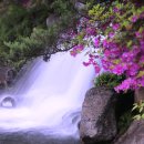 임진강리조트 이미지