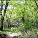 &#39;반달떡&#39; 먹는 재미에 &#39;보물찾기&#39;는 늘 뒷전,,^^* 이미지