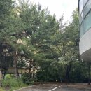 중랑숲어린이도서관 | 중랑구 북스타트 책꾸러미 받는, 어린이도서관[중랑숲 어린이도서관]