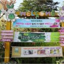 색채심리 이미지