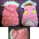 분홍강아지 이미지