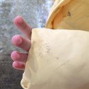 어시장 | 구경만 해도 재밌는 인천종합어시장 일상 후기