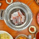 별미암소갈비살