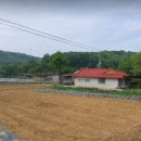 뉴힐링하우스