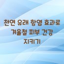 천연 이미지