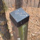 늠내길 1코스 숲길 이미지