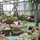 양준농장 이미지