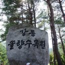 펜션 솔향 이미지