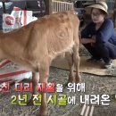 사노라면 - 강릉시 항구윗길 6 | 사노라면