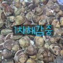시즌 곧 마감 / 자연산 백합조개 특가 키로 -11.000원 수입산아니쥬 이미지