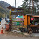 은행나무숲 입구 이미지