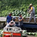 어상천시장 이미지