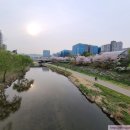 운중천(좌로) 이미지