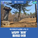 전계대원군 묘 및 신도비 | [기회기자단] 흥선대원군의 숨결을 느끼는 곳, 남양주 ‘흥원’ 둘레길 여행