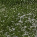 의령 운곡리 고분군 이미지