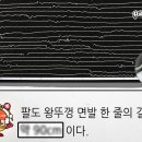 팔도인력 이미지