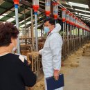 한우번식축산 이미지