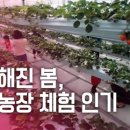 김윤희농장 이미지