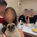 스테이인터뷰 노호 이미지